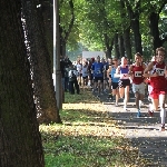 Herrenkrugparklauf 14.09.2013  Foto: Stefan Wohllebe