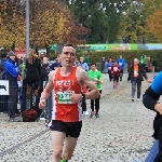 Magdeburg Marathon 18.10.2015  Foto: Stefan Wohllebe