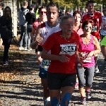 Magdeburg Marathon 19.10.2014  Foto: Stefan Wohllebe