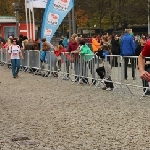 Magdeburg Marathon 20.10.2013  Foto: Stefan Wohllebe